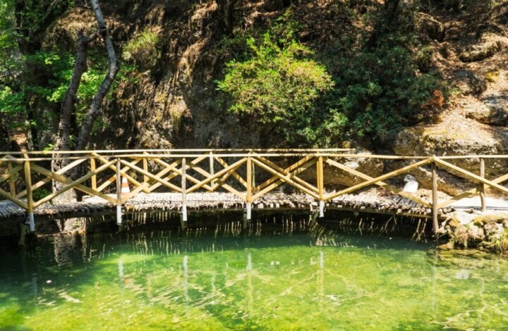 Valley of butterflies ( Petaloudes ) – Rhodes island