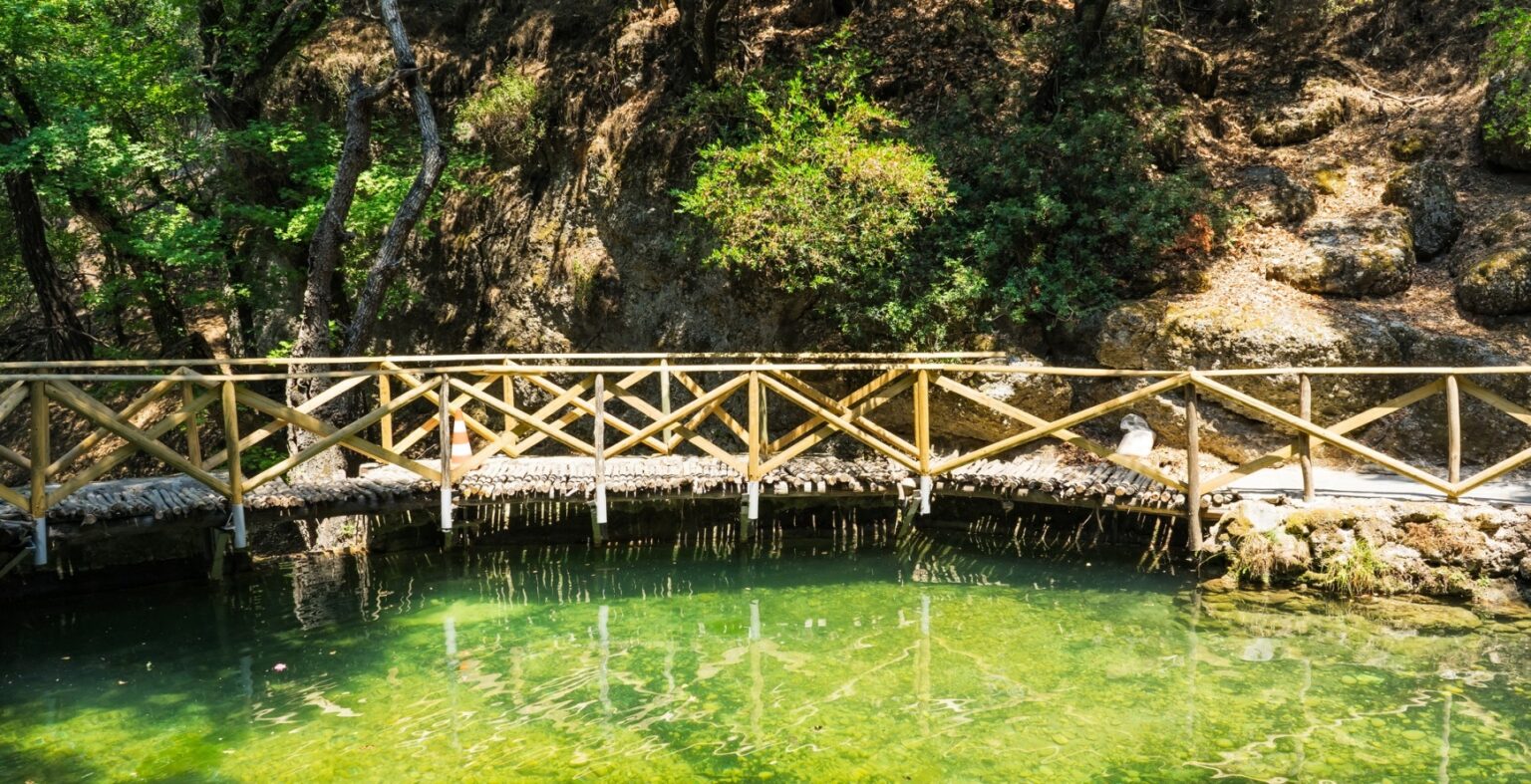 Valley of butterflies ( Petaloudes ) – Rhodes island